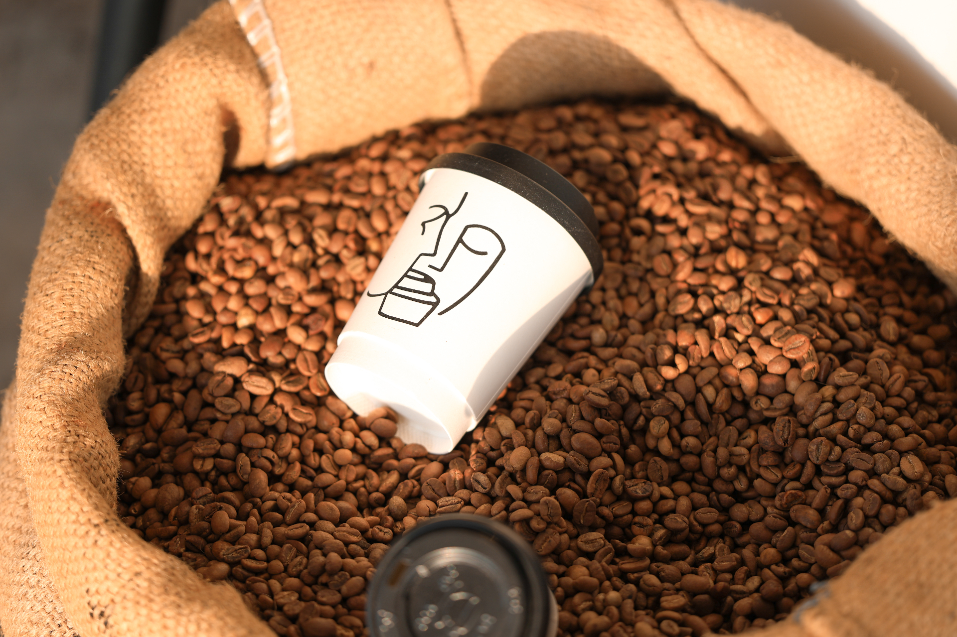 Fresh roasted coffee beans